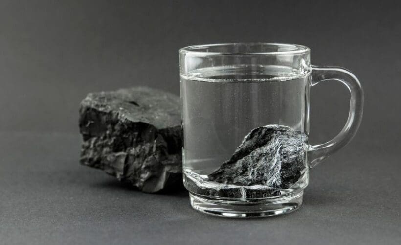 Šungit - mineral zivota (naslovna)