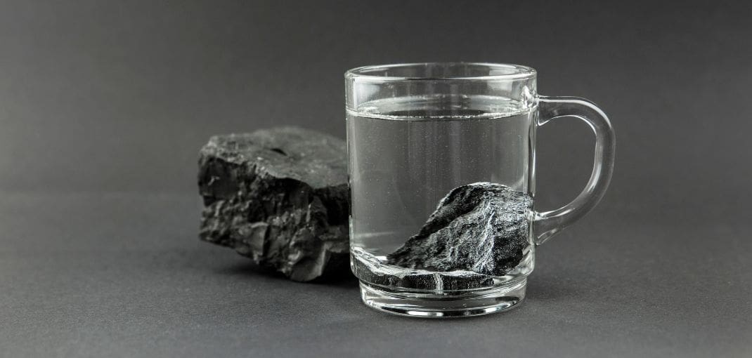 Šungit - mineral zivota (naslovna)
