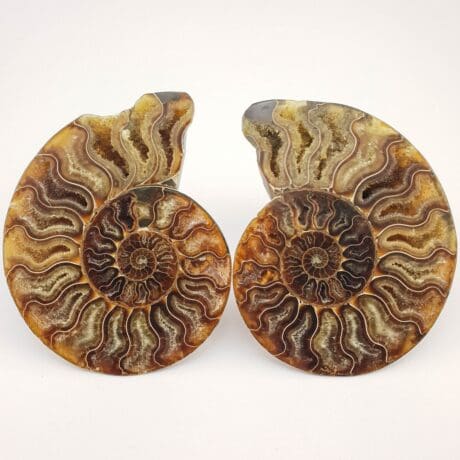 Amonit 660g #10522F15