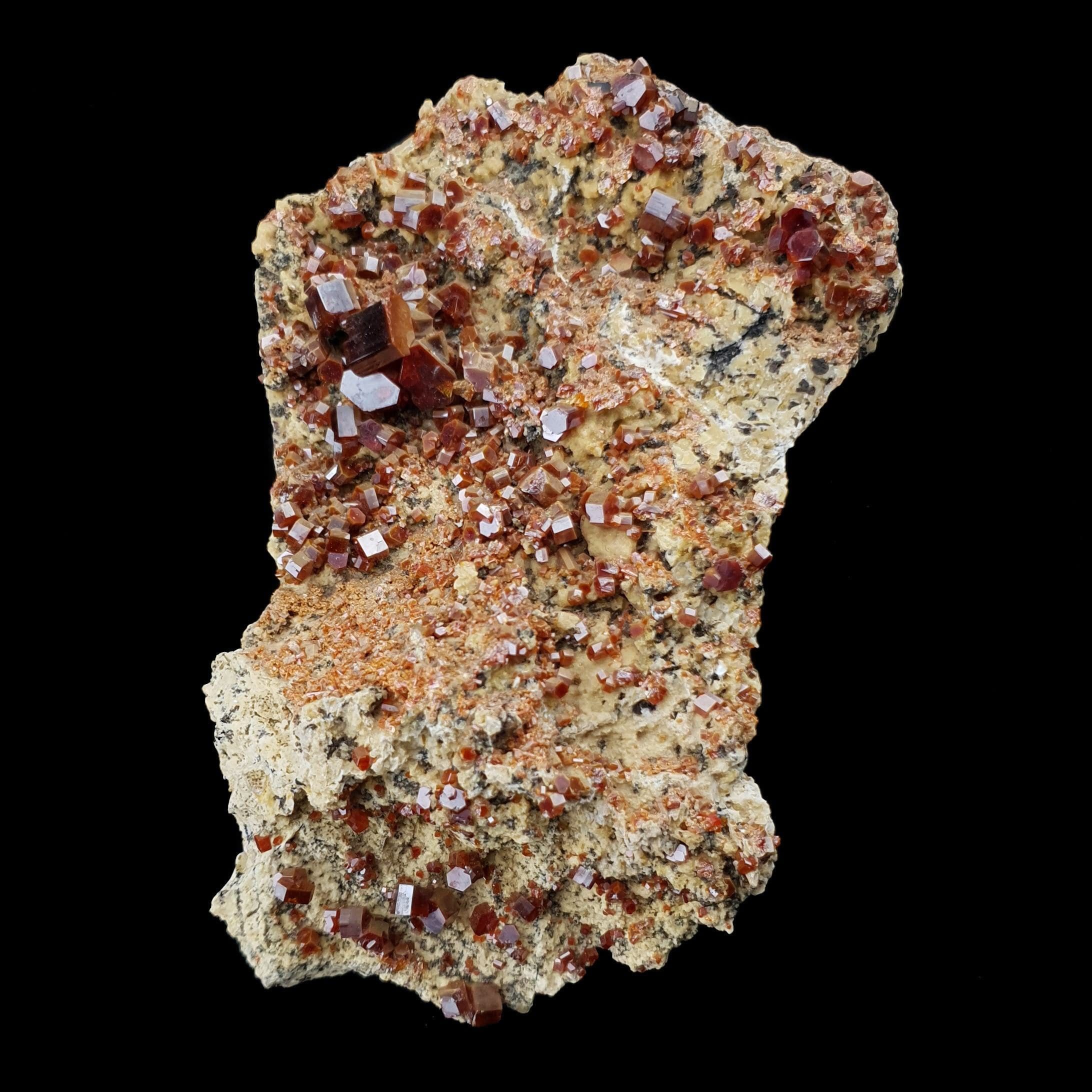 P1A10#1137 (2)