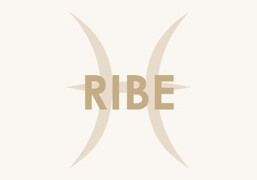 Ribe
