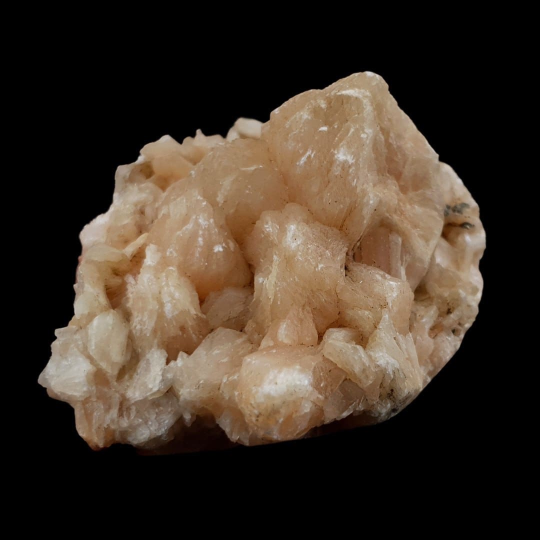 #1484 (2)