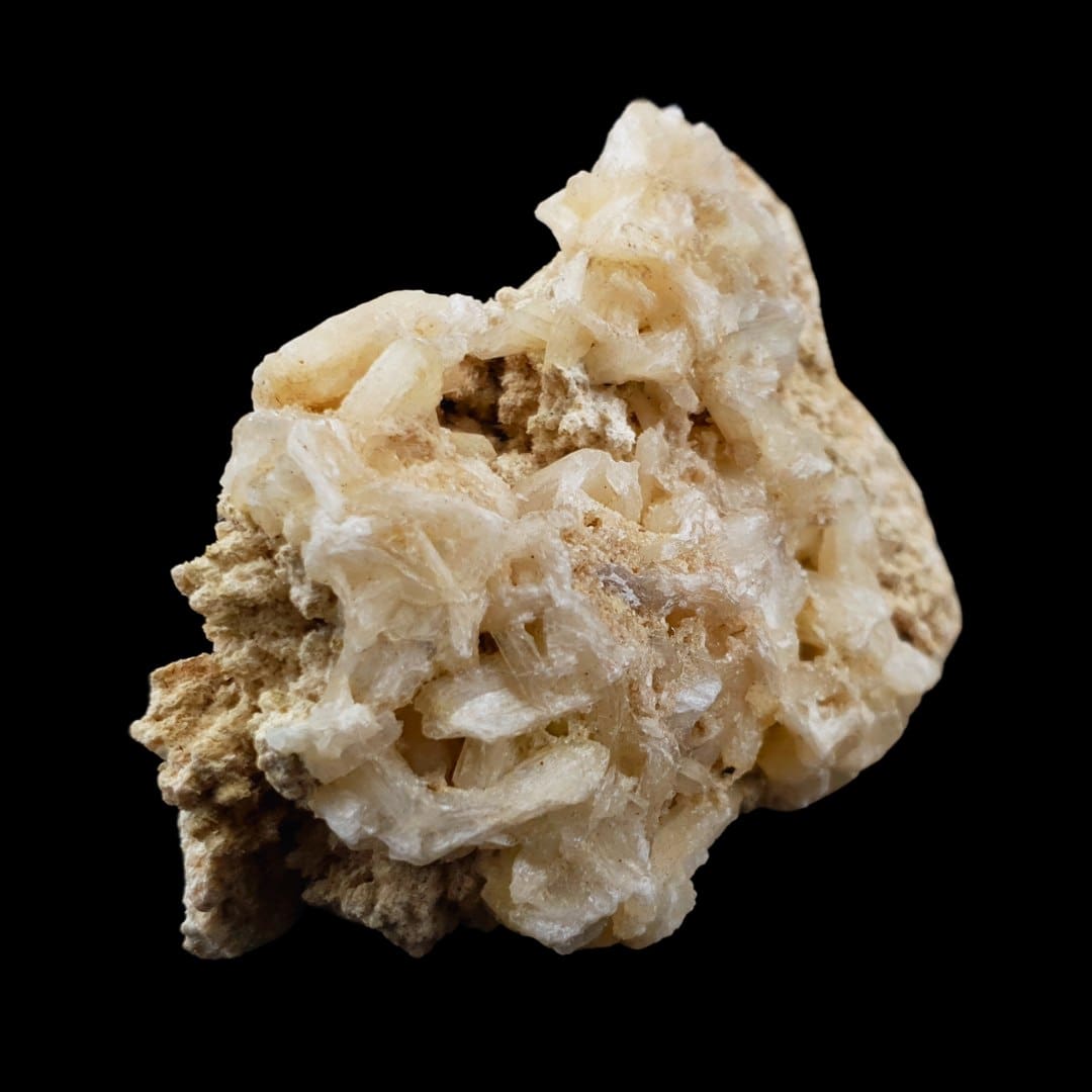 #1524 (3)