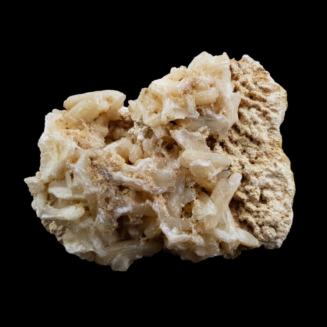 #1524 (4)