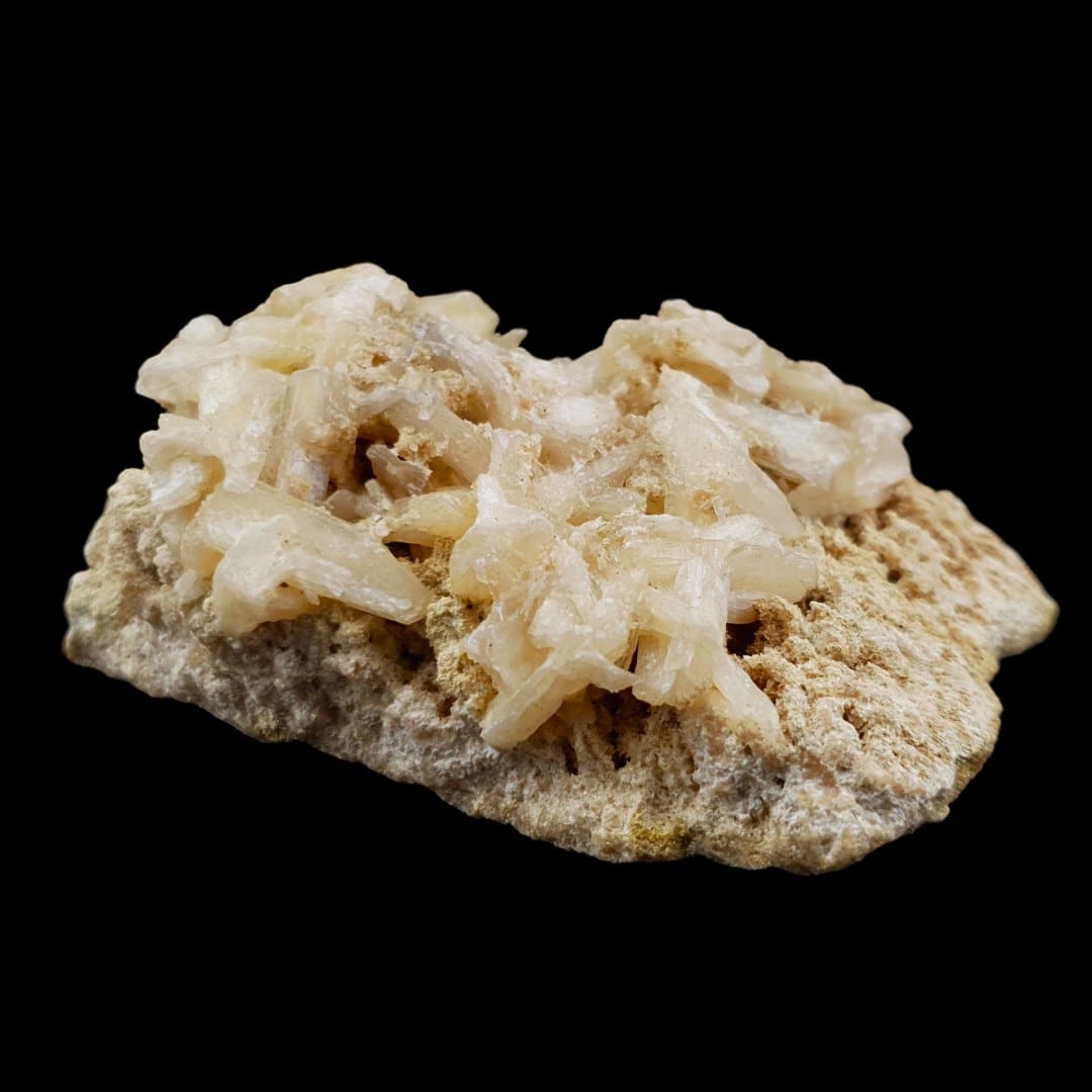 #1524 (5)