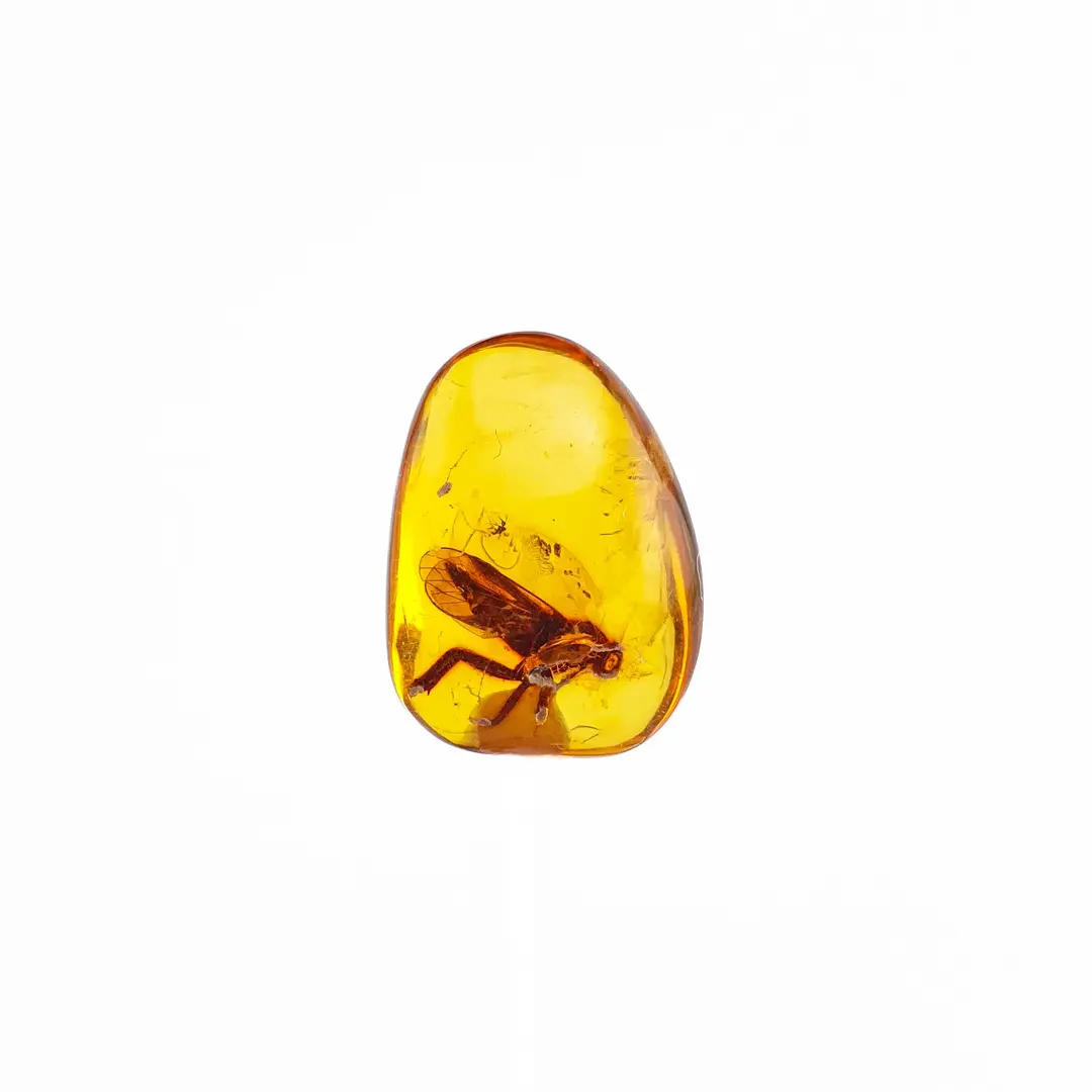 Ćilibar sa insektom u akrilnoj kutiji #11819B134-4 (3)