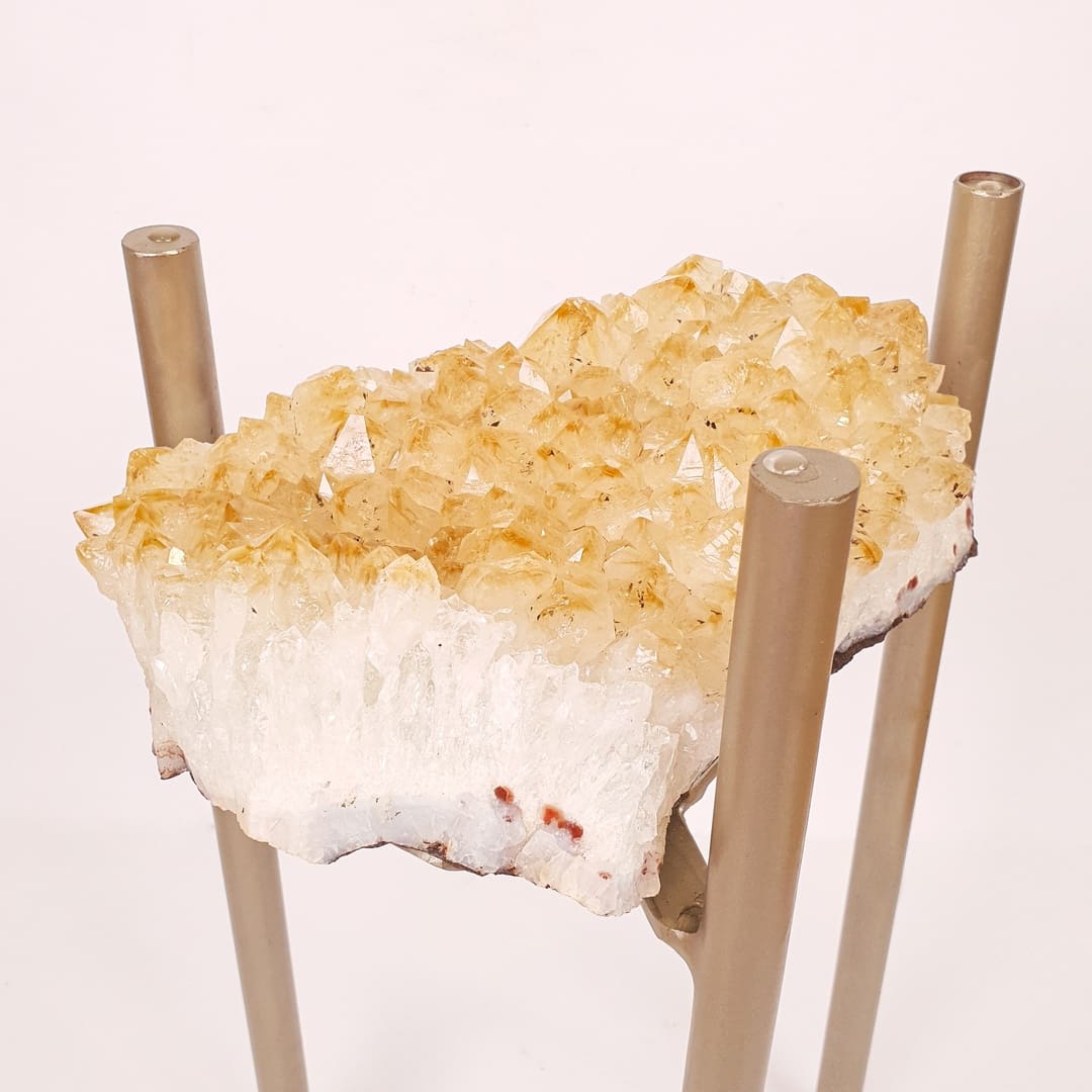 Citrin klub sto 5.5kg #11932MG (7)