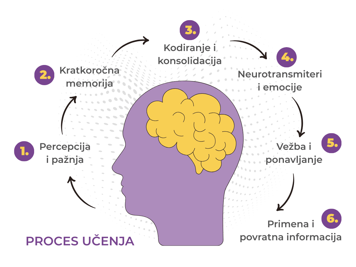 Proces učenja