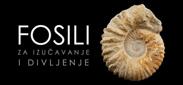 Fosili
