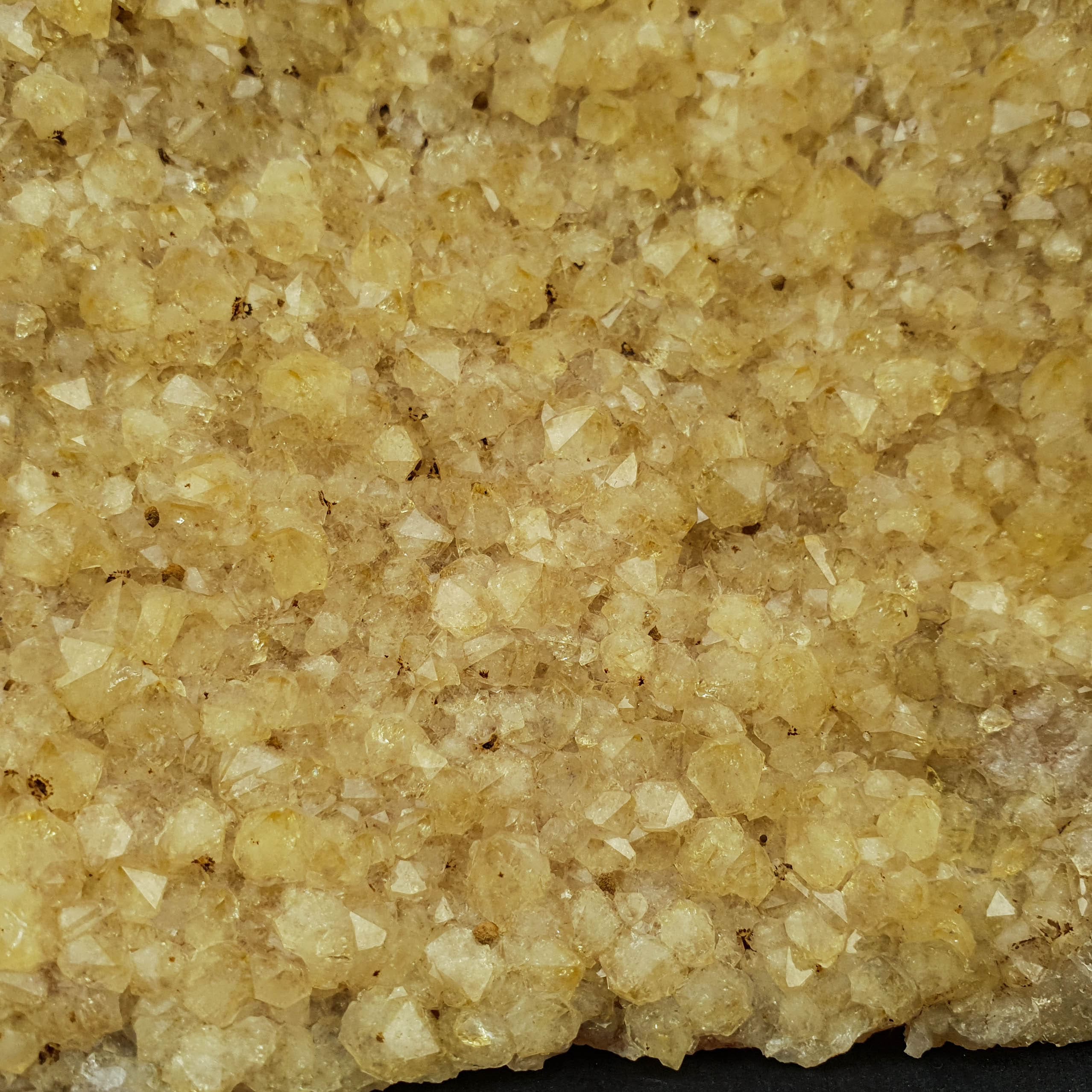 Citrin sa poliranim dnom 1.7kg #12246P10 (4)