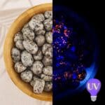 Yooperlit UV (naslovna)