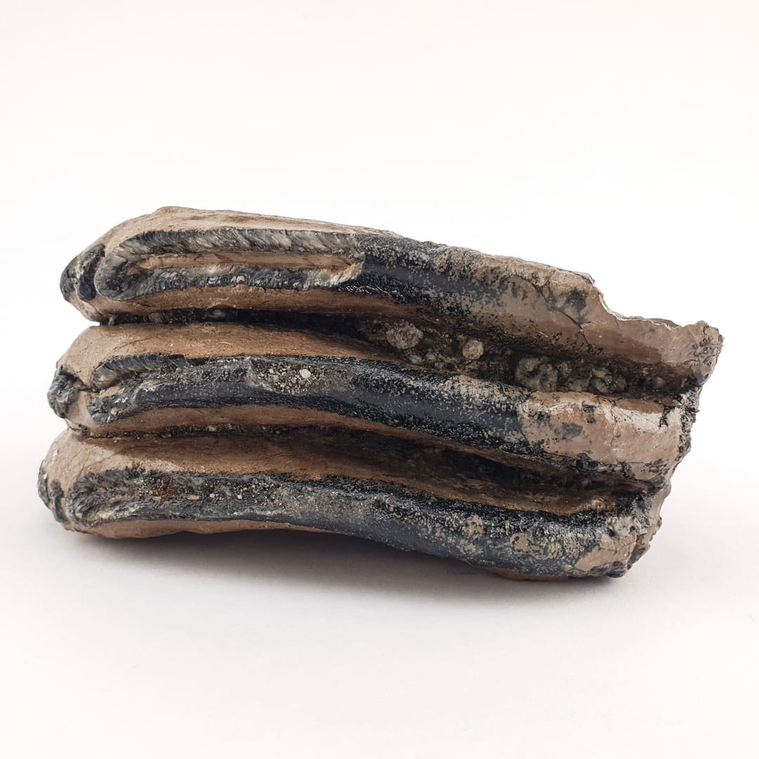 Mamut Kutnjak 1076 g #12450 (1)