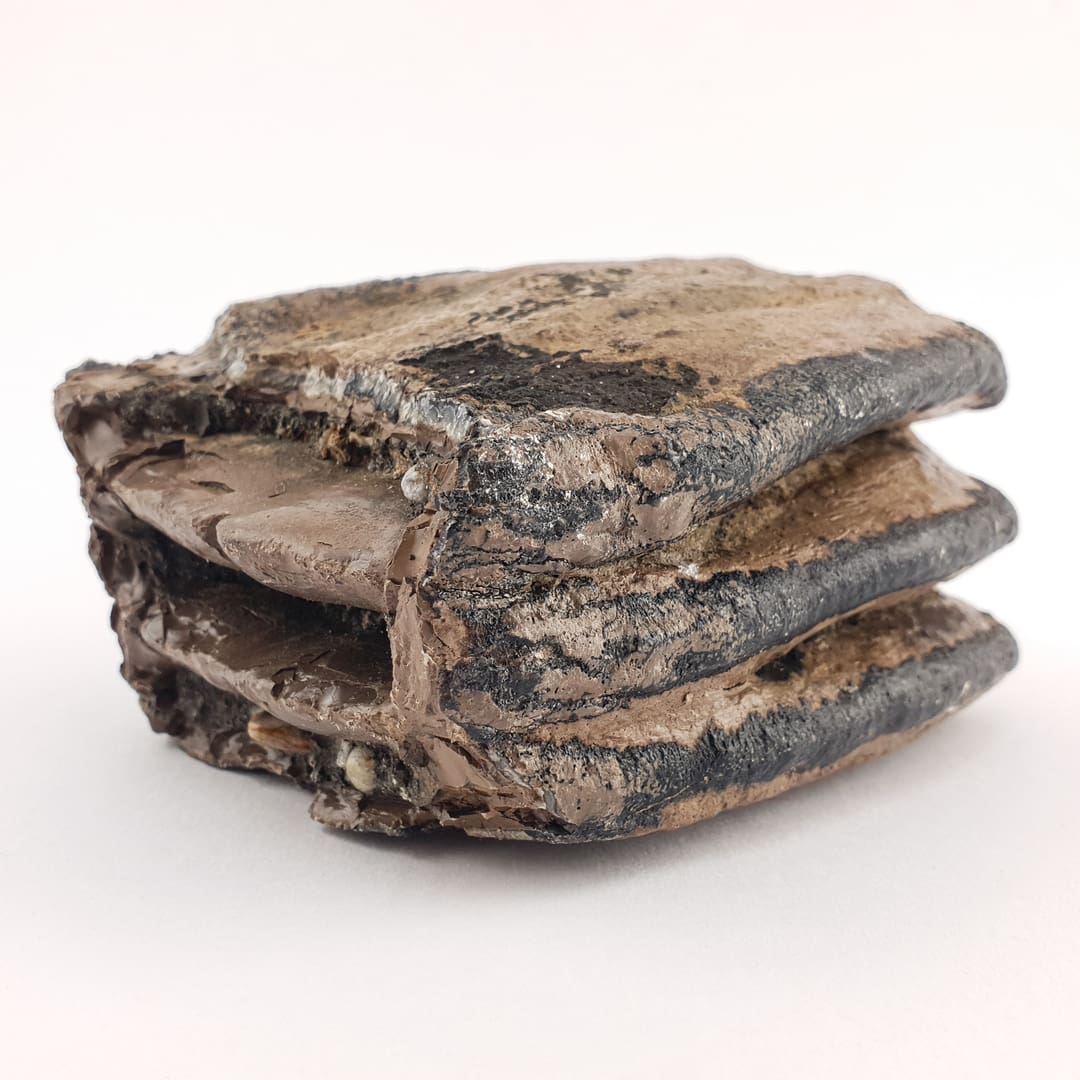 Mamut Kutnjak 1076 g #12450 (2)