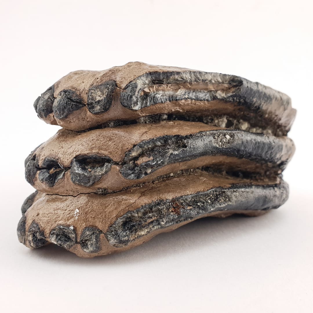 Mamut Kutnjak 1076 g #12450 (4)