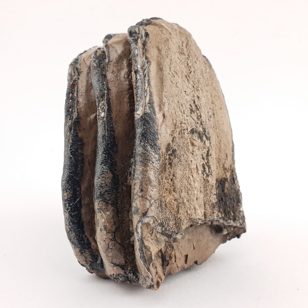 Mamut Kutnjak 1076 g #12450 (5)