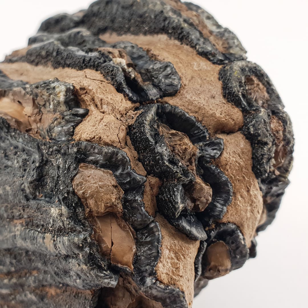 Mamut Kutnjak 603 g #12462 (1)