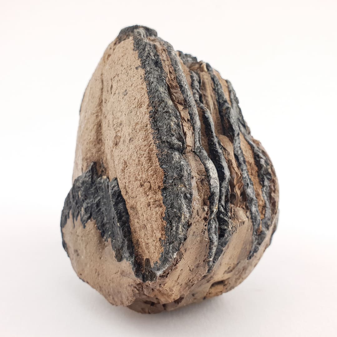 Mamut Kutnjak 603 g #12462 (6)