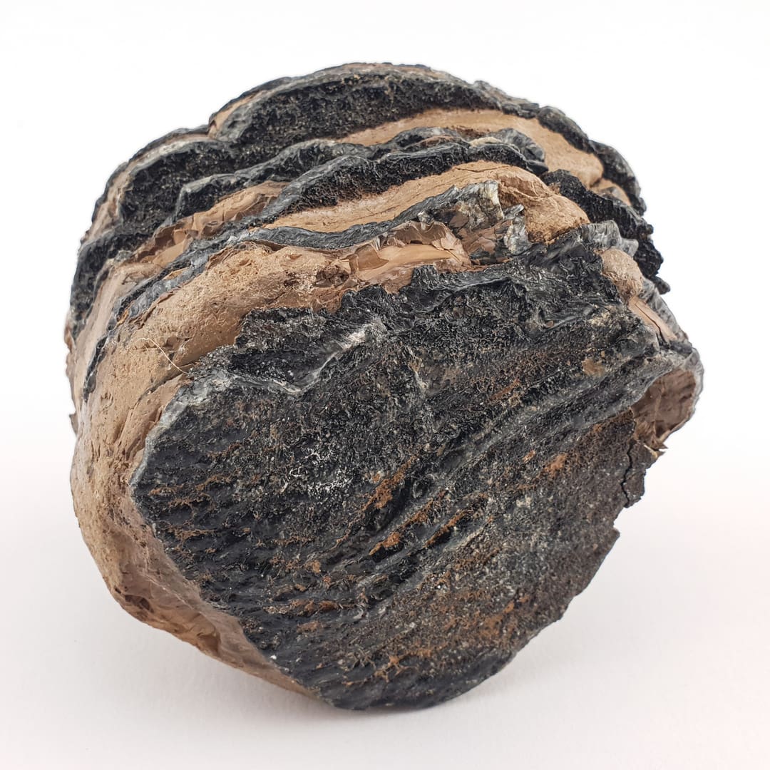 Mamut Kutnjak 603 g #12462 (7)