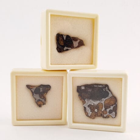 Meteorit Pallasite M #12151B130
