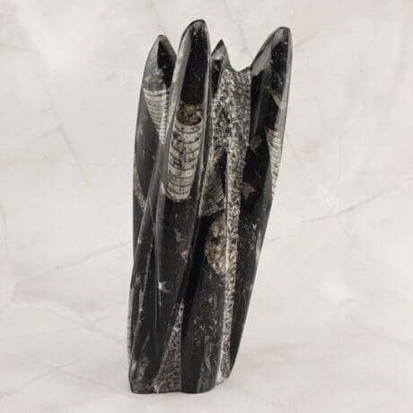 Orthoceras - Skulptura 1.3kg #12494P1