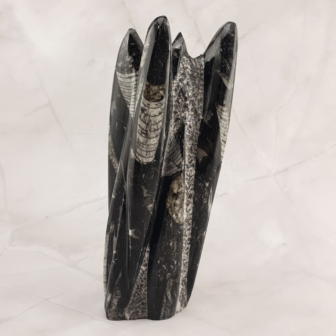 Orthoceras - Skulptura 1.3kg #12494P1