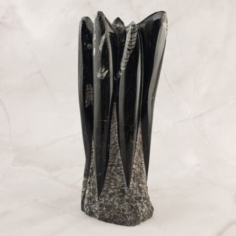 Orthoceras - Skulptura 1.3kg #12496P1