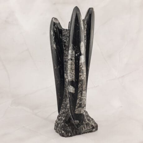 Orthoceras - Skulptura 1.4kg #12492P1