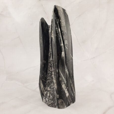 Orthoceras - Skulptura 1.4kg #12498P1